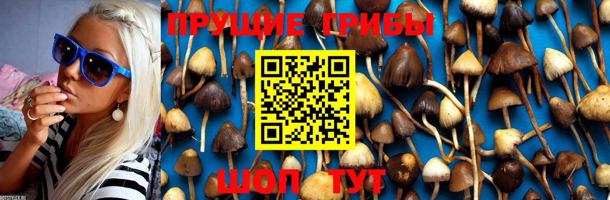 Топки  Галлюциногенные грибы MAGIC MUSHROOMS  Вход с VPN 